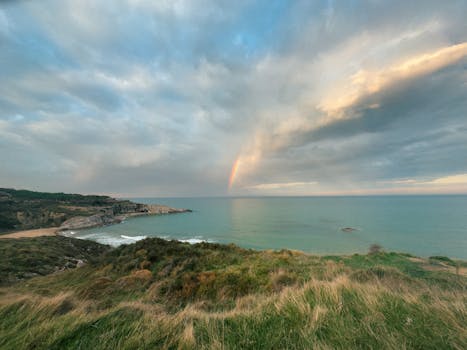 scenic view of a serene landscape